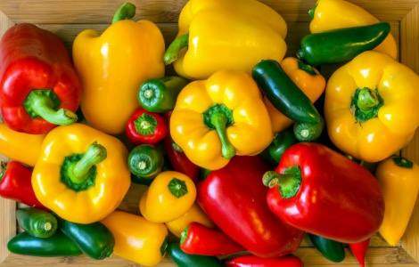 Τροφές που βοηθούν στην ενεργοποίηση του ανοσοποιητικού συστήματος